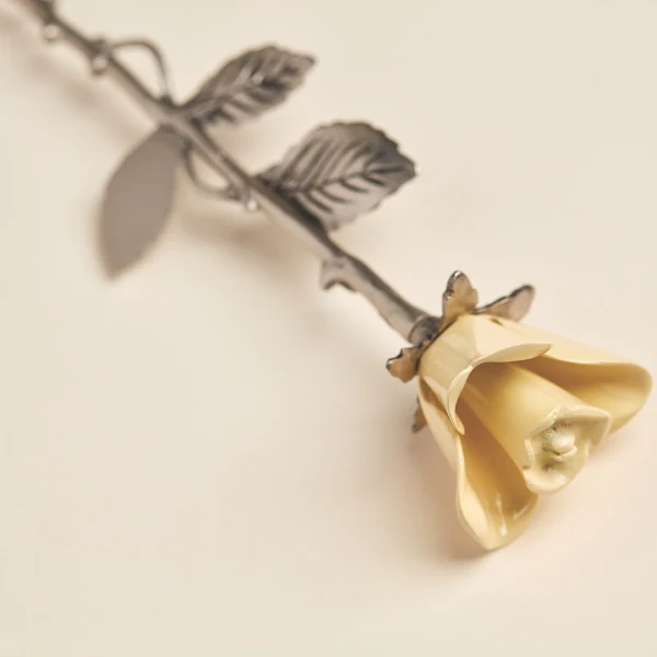 Yellow Rose Keepsake - Image 3